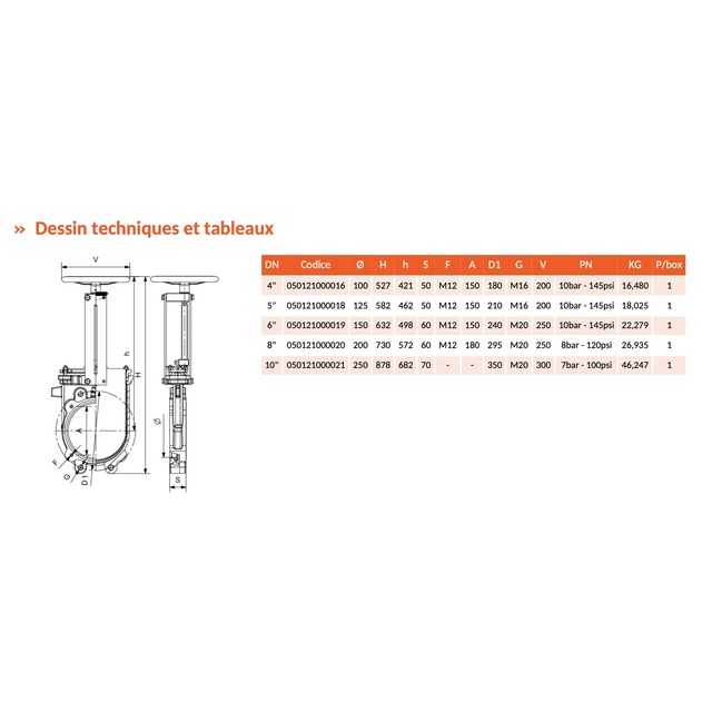 Vanne Fonte GLADIO-RIV121 A Volant 2BRIDES PN10 8'